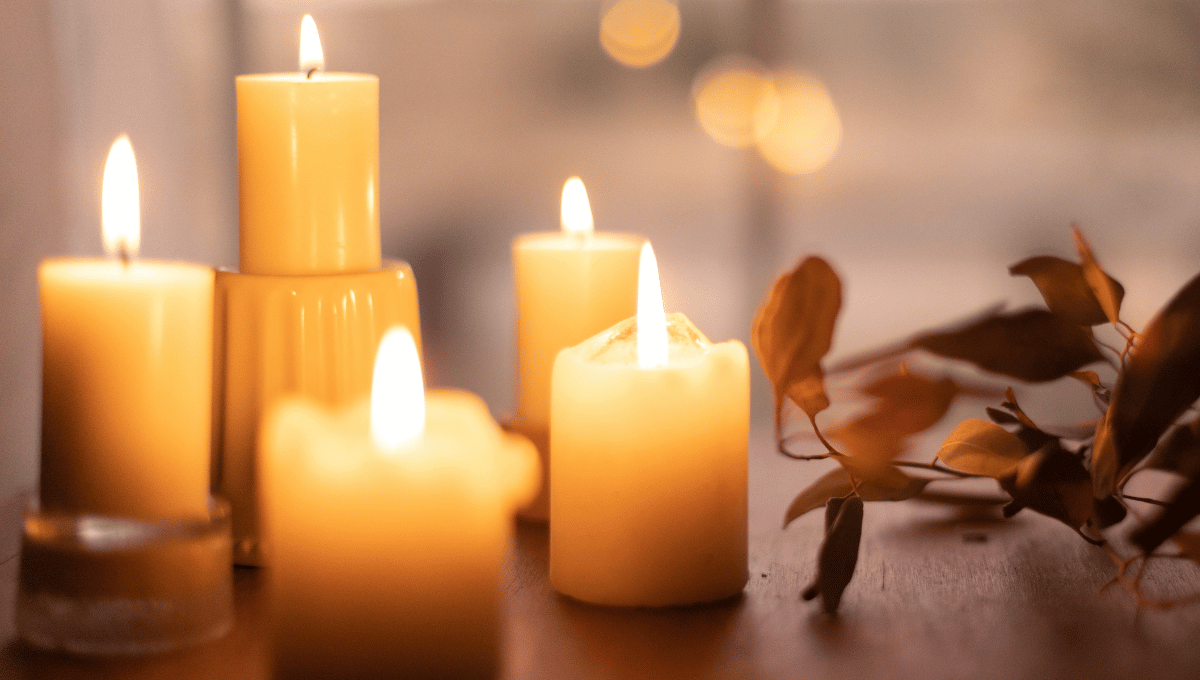 Turn Over a New Leaf: The Best Soy Candles for a Crisp Fall Atmosphere