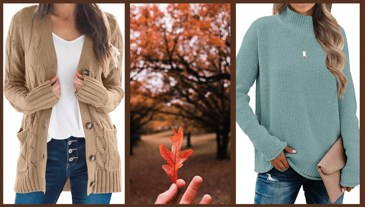 Embrace The Chill: 5 Cozy Sweaters For Your Fall Wardrobe