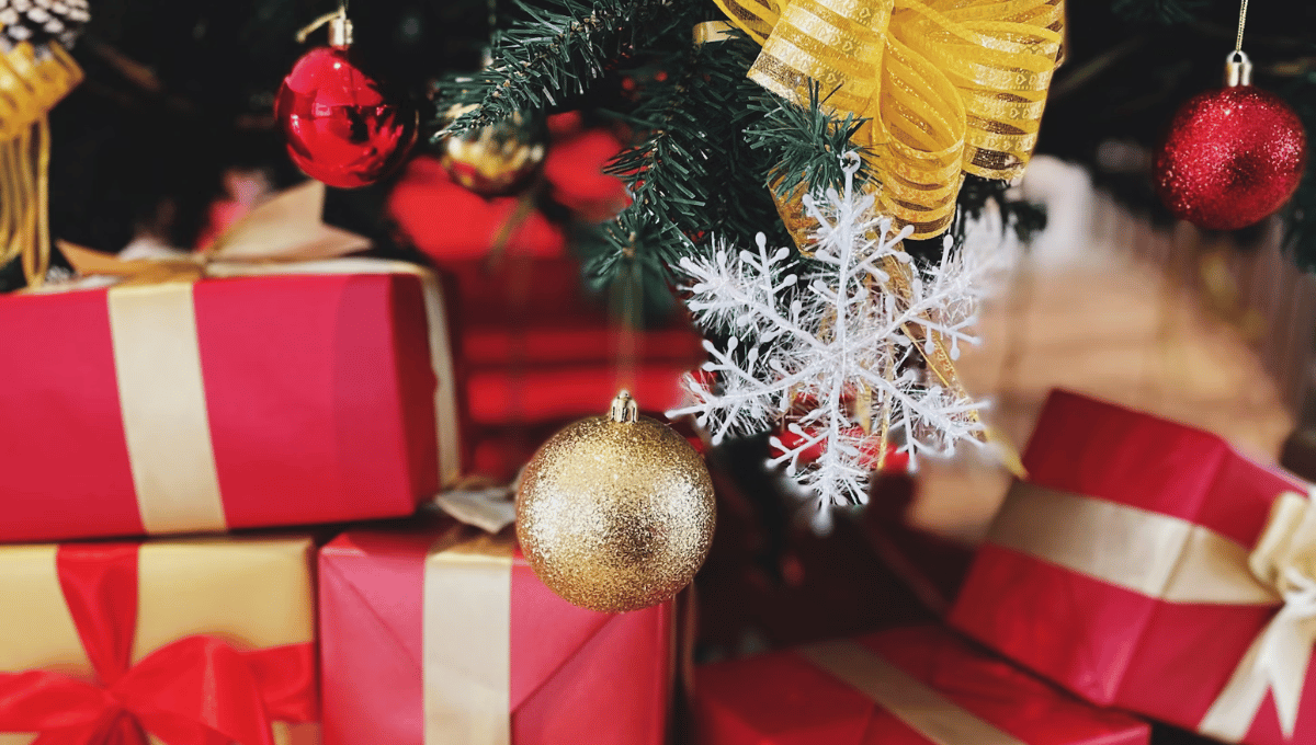 🎅Countdown to Christmas: Unwrap the Scent of Bliss!