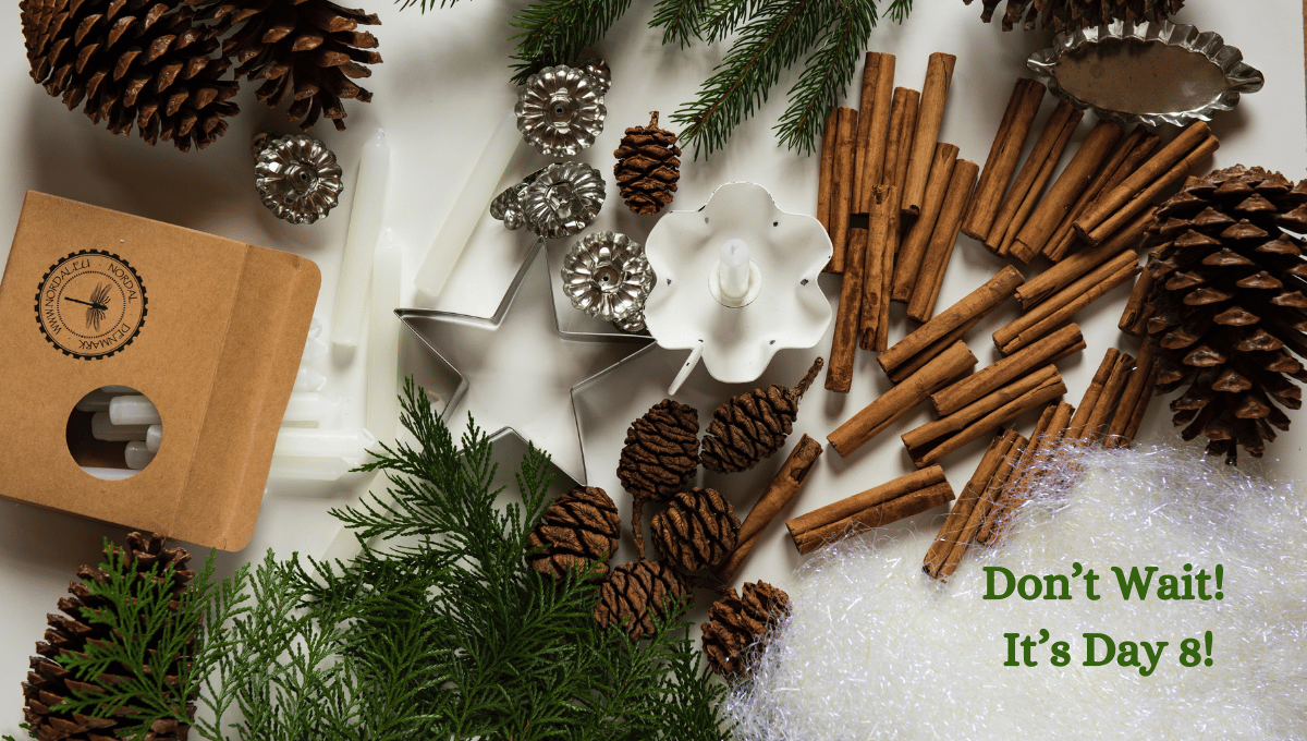 🎅Christmas Countdown: Apples & Cinnamon & Nutmeg...Oh My!