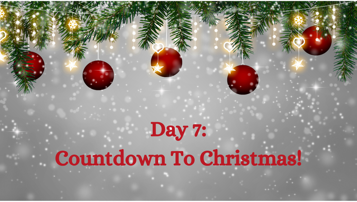 🎅Christmas Countdown: A Fragrant Journey Through a Winter Forest