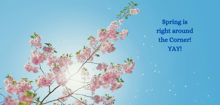 Sunscreen Game Changer: DRMTLGY's Universal Tinted Moisturizer SPF-46 - Your Skin Will Thank You!